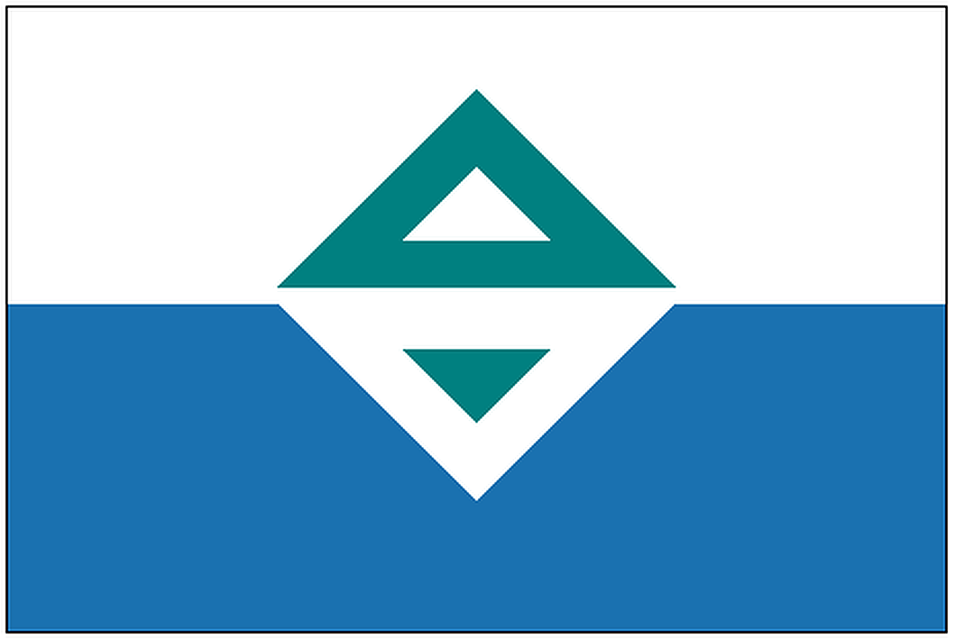 台灣共和國 (Republic of Taiwan)_以台字紋為構圖發想_