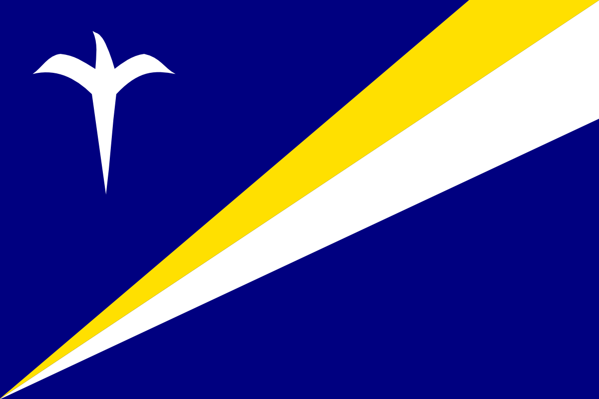 單純的百合設計配上類似馬紹爾群島國旗的光線設計。_向量圖分享：_https_