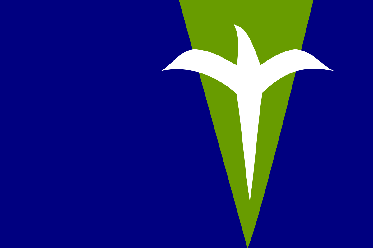 一年多前我重新開始設計台灣國旗時，頭幾個設計之一。當時我依舊想設計一個以百合花