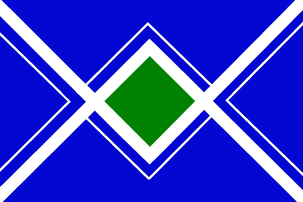 用手機畫的，不是很滿意，_但大致構想是這樣....._V字是月牙紋，有著台灣黑